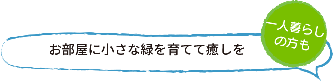 お部屋に小さな緑を育てて癒しを
